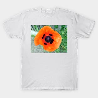 Big poppy flower T-Shirt